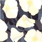 Meadow Dance Fabric