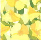 Meadow Dance Fabric